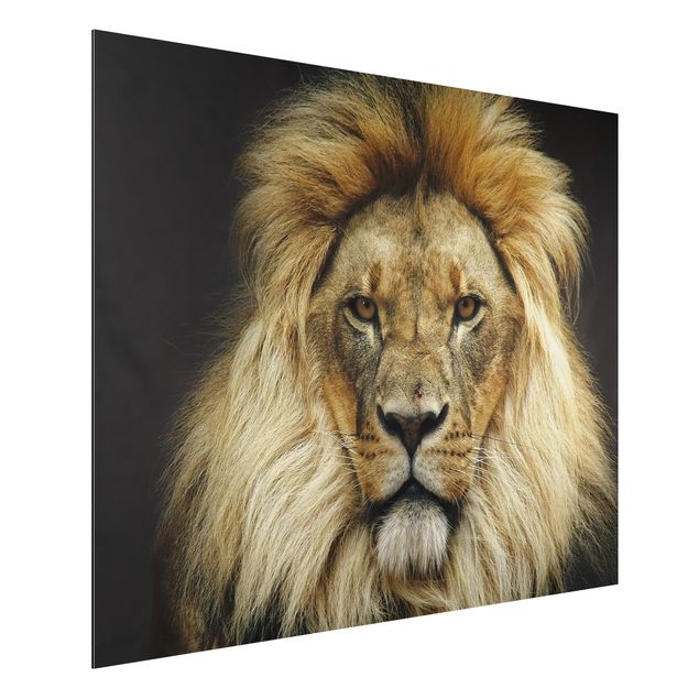 Wandbilder Tiere Wisdom of Lion