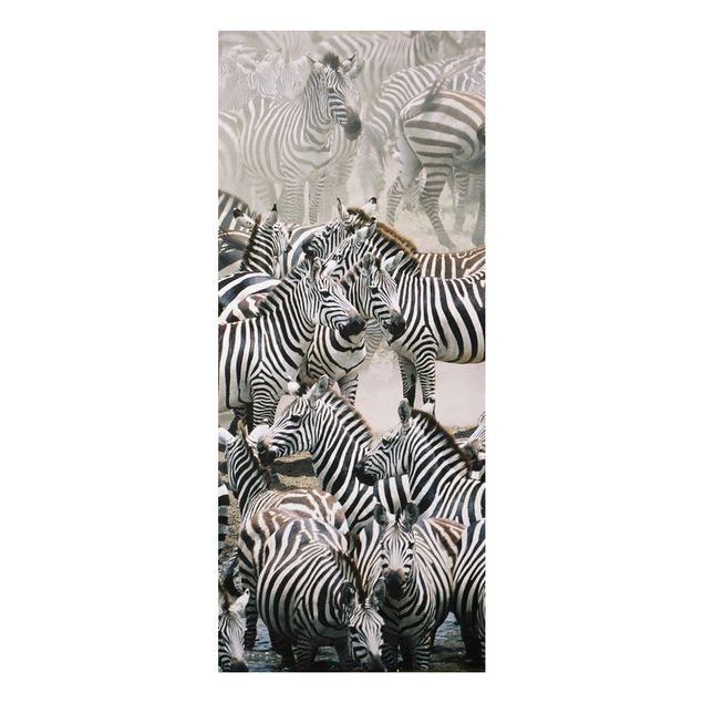 Schöne Wandbilder Zebraherde
