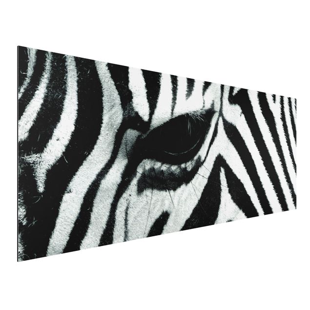 Wandbilder Tiere Zebra Crossing No.2