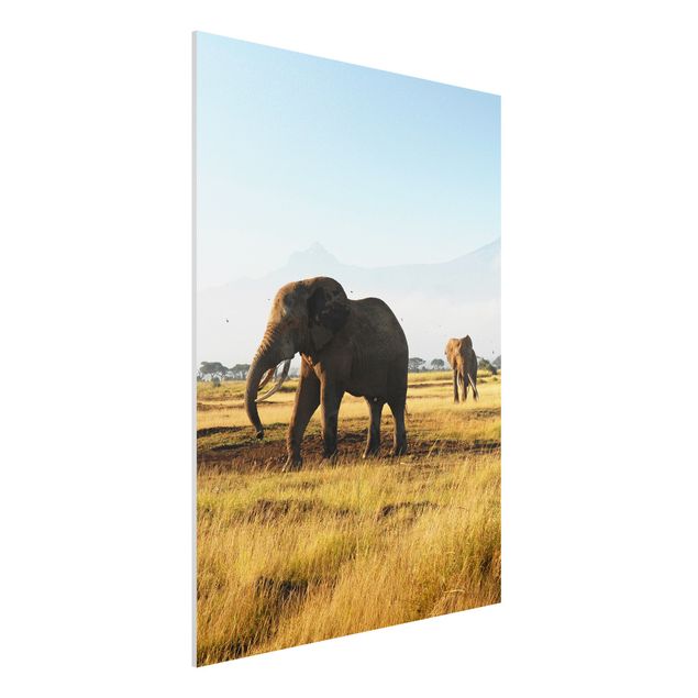 Wandbilder Tiere Elefanten vor dem Kilimanjaro in Kenya