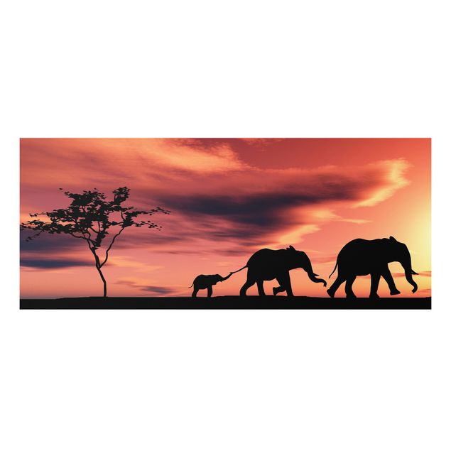 Bilder auf Hartschaumplatte Savannah Elefant Family
