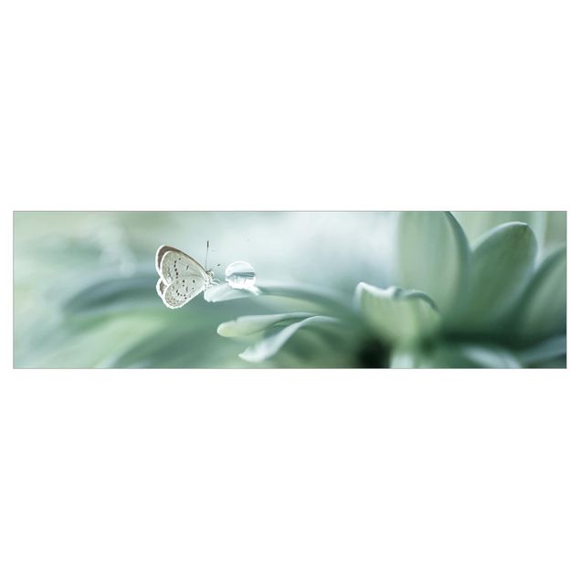 Klebe Dekorfolie Schmetterling und Tautropfen in Pastellgrün