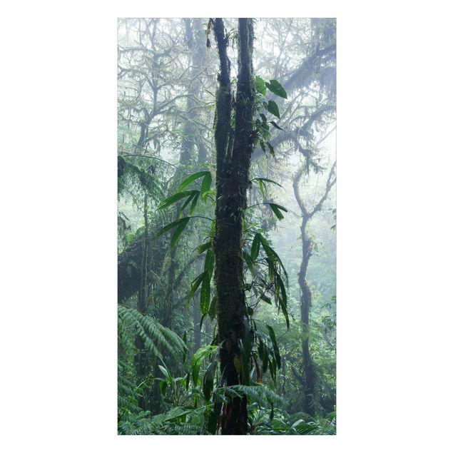 Duschrückwände Monteverde Nebelwald