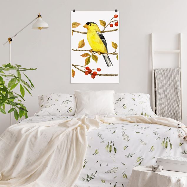Kunstkopie Poster Vögel und Beeren - Goldzeisig