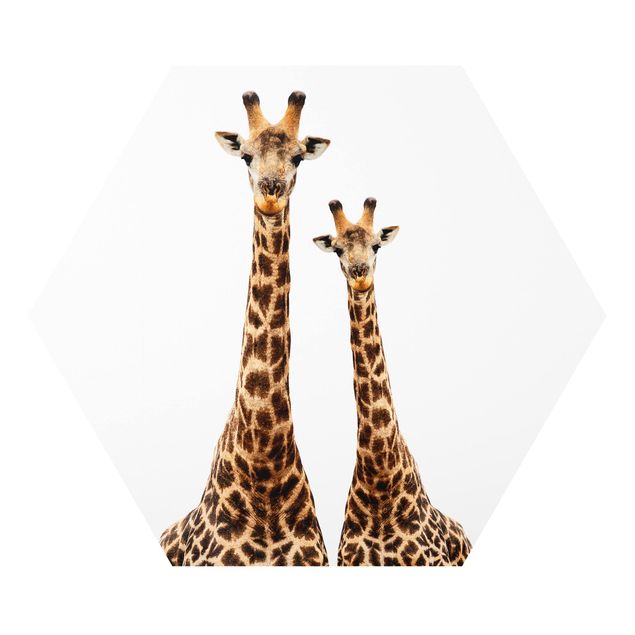 Bilder Hexagon Portait Zweier Giraffen