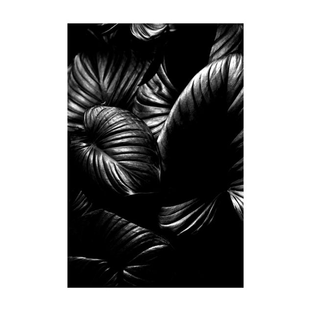 Teppich Blumen Schwarz Weiß Botanik Hosta
