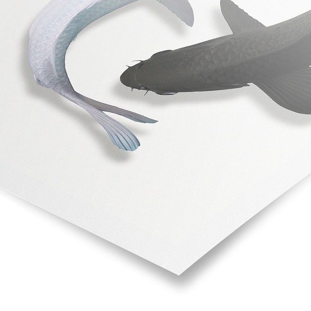 Poster Tiere Fische Ying & Yang