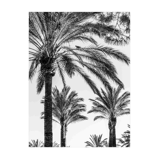 Teppich Blumen Palmen im Sonnenuntergang Schwarz-Weiß