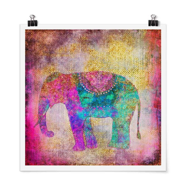 Poster kaufen Bunte Collage - Indischer Elefant