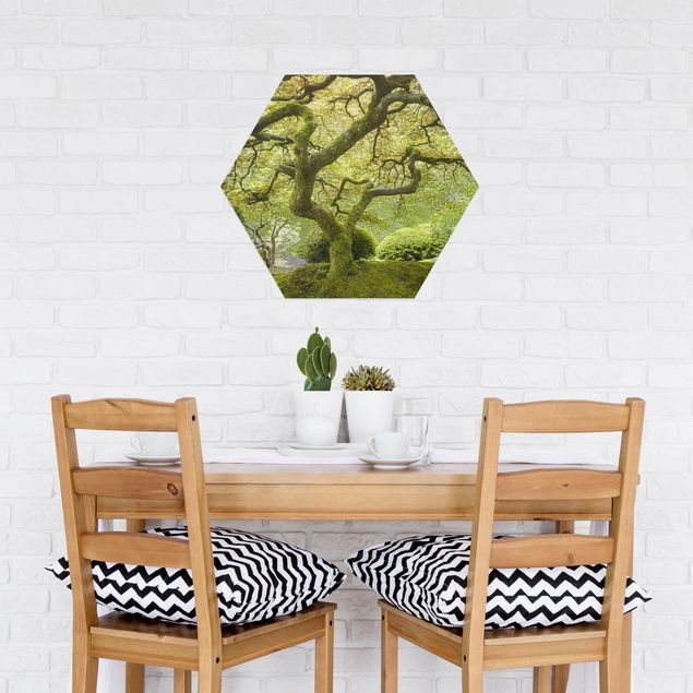Hexagon Bild Alu-Dibond - Grüner Japanischer Garten
