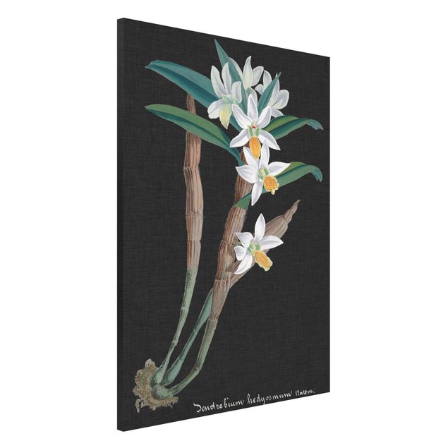 Magnettafel Büro Weiße Orchidee auf Leinen I