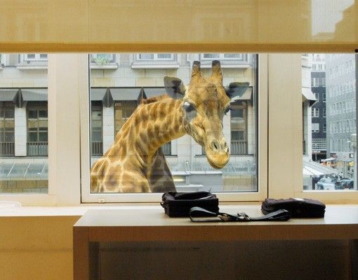 Fensterfolie Tiere Neugierige Giraffe