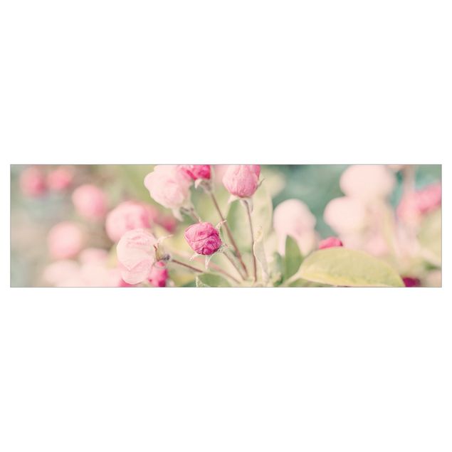 Klebefolien Apfelblüte Bokeh rosa
