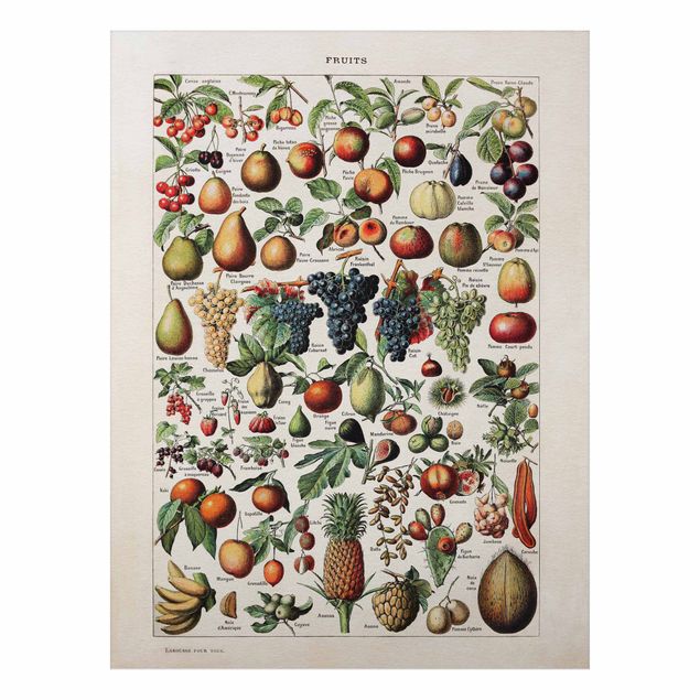 Alu Dibond Bilder Vintage Lehrtafel Früchte