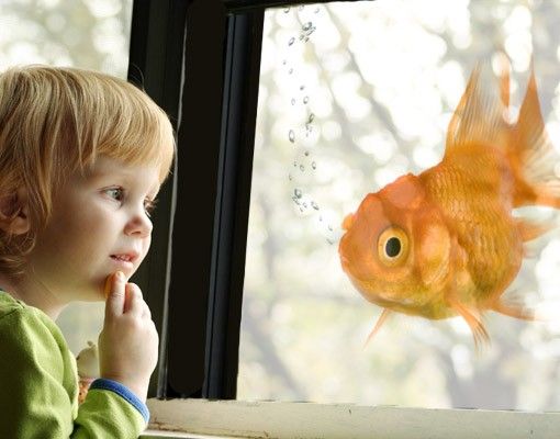 Fensterbild Tiere One Flying Goldfish