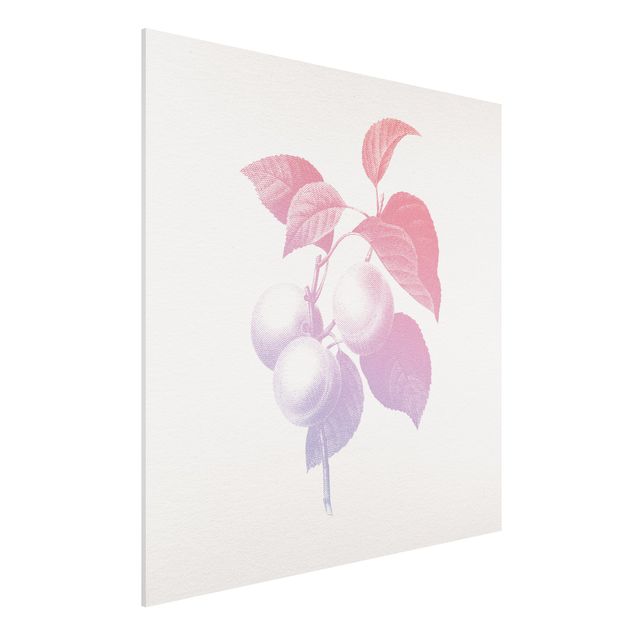 Bilder auf Hartschaumplatte Modern Vintage Botanik Pfirsich Rosa Violett
