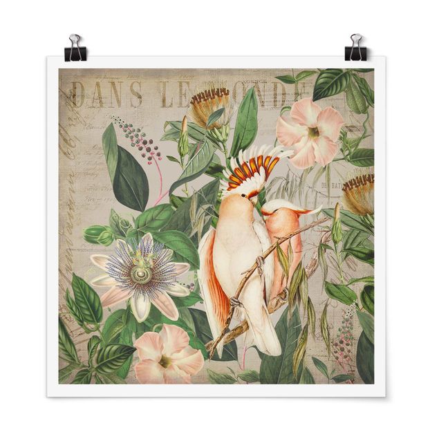 Poster Blumen Colonial Style Collage - Rosa Kakadu