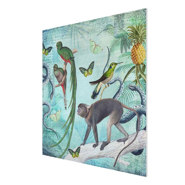 Bilder für die Wand Colonial Style Collage - Äffchen und Paradiesvögel