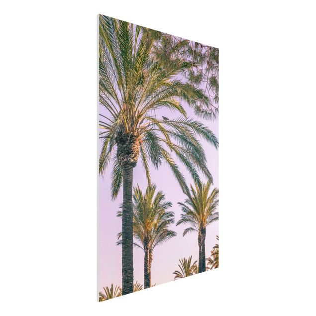 Foto auf Hartschaumplatte Palmen im Sonnenuntergang