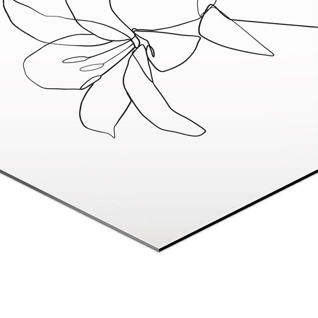 Hexagon Bild Alu-Dibond 2-teilig - Line Art Blüten Schwarz Weiß Set