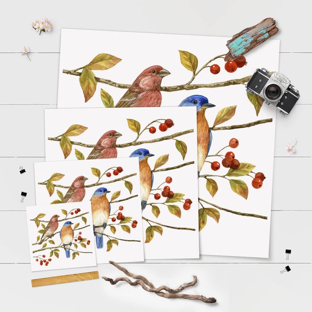 Poster - Vögel und Beeren - Hüttensänger - Quadrat 1:1
