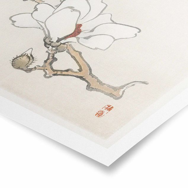 Poster Asiatische Vintage Zeichnung Weiße Magnolie