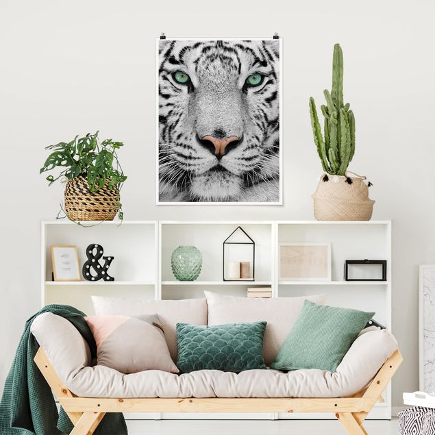 Poster Schwarz-Weiß Weißer Tiger