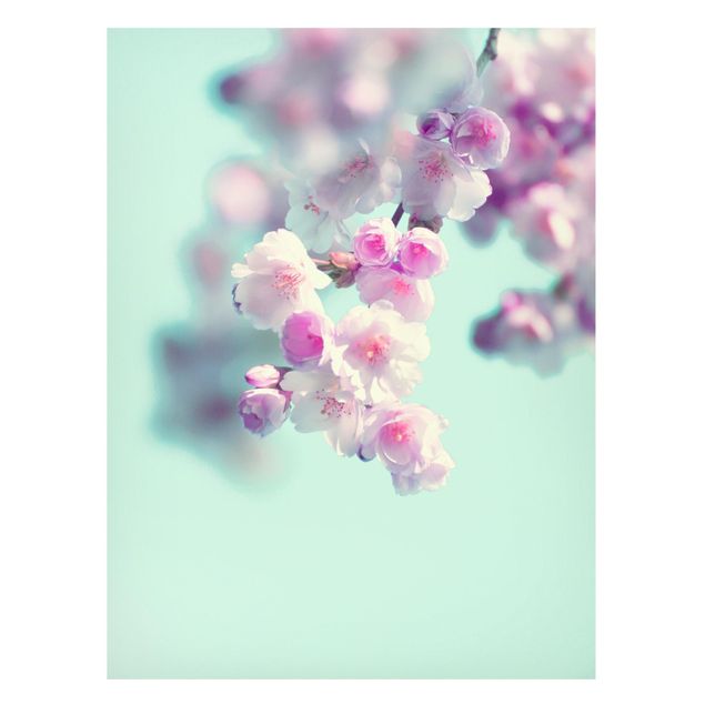 Magnettafel Blumen Farbenfrohe Kirschblüten