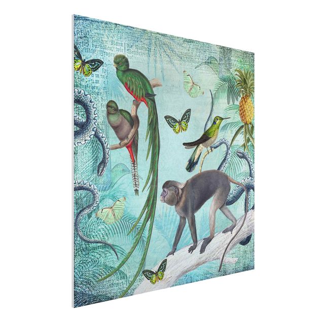 Wandbilder Tiere Colonial Style Collage - Äffchen und Paradiesvögel