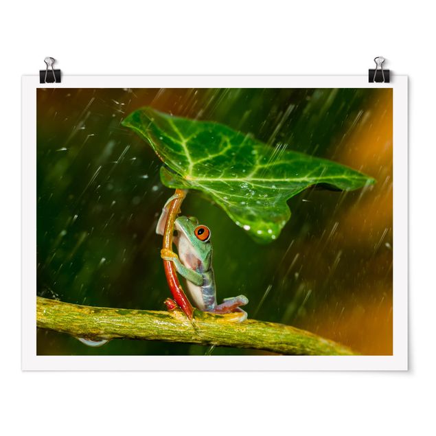 Poster - Ein Frosch im Regen - Querformat 3:4