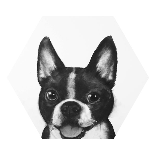 Hexagon Bild Forex - Illustration Hund Boston Schwarz Weiß Malerei