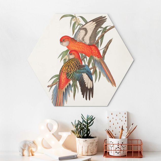 Schöne Wandbilder Tropische Papageien I