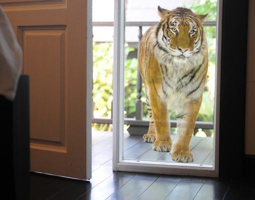 Fenstersticker Tiere Bengalischer Tiger