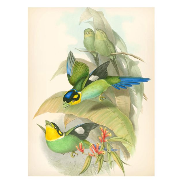Magnettafel Büro Vintage Illustration Tropische Vögel