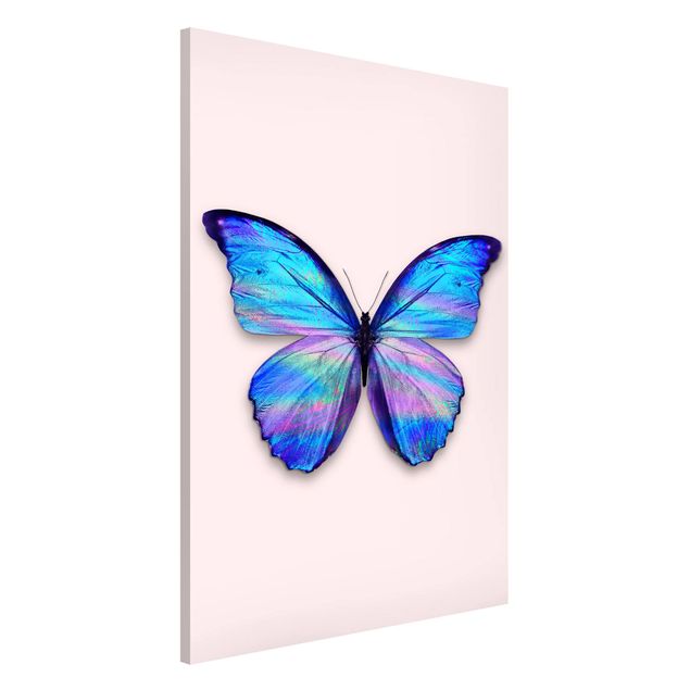 Magnettafel Tiere Holografischer Schmetterling