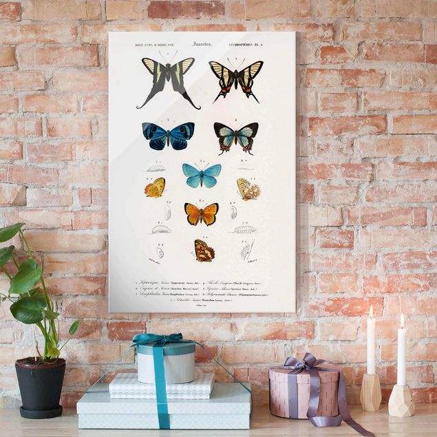 Wandbilder Tiere Vintage Lehrtafel Schmetterlinge I