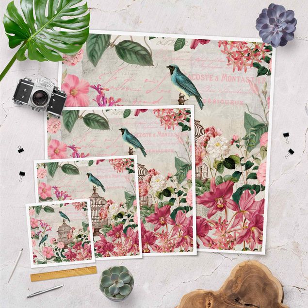 Poster - Shabby Chic Collage - Rosa Blüten und blaue Vögel - Quadrat 1:1