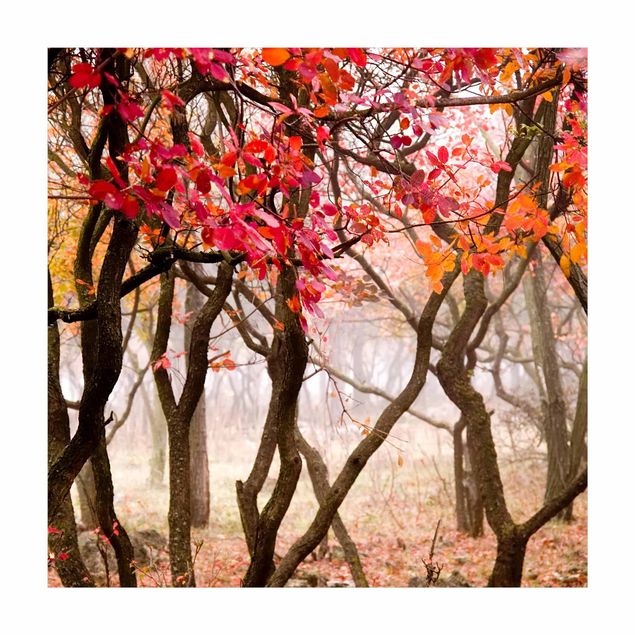 Teppich Wald Japan im Herbst