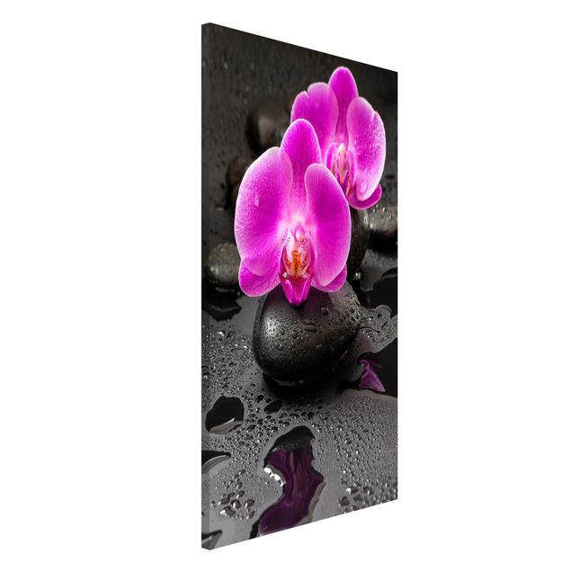 Magnettafel Büro Pinke Orchideenblüten auf Steinen mit Tropfen