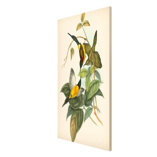 Magnettafel Blumen Vintage Illustration Tropische Vögel IV