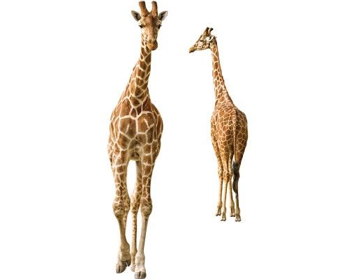 Tier Fensterbilder Zwei Giraffen