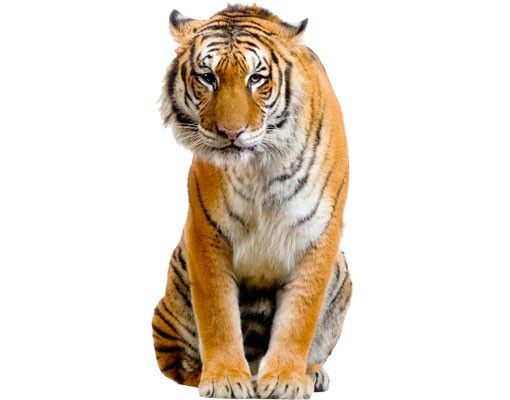 Fenstersticker Tiere Sitzender Tiger