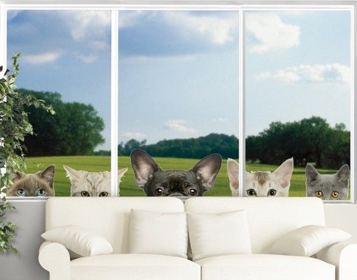 Fenstersticker Tiere Katzen mit Hundeblick
