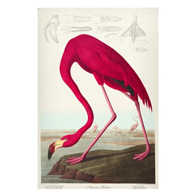 Magnettafel Büro Vintage Lehrtafel Amerikanischer Flamingo