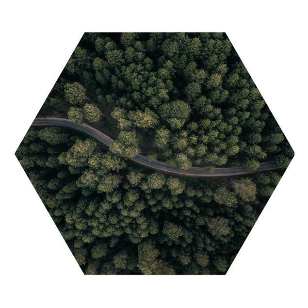 Hexagon Bild Holz - Luftbild - Waldstraße von Oben