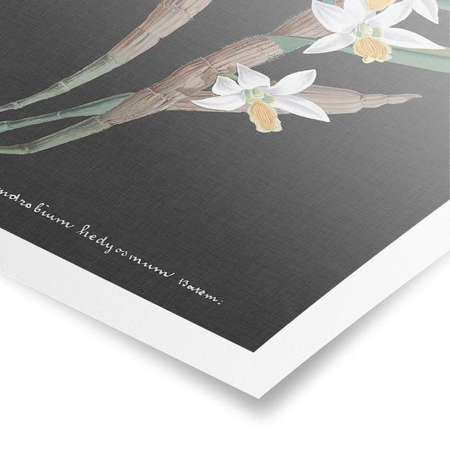 Poster - Weiße Orchidee auf Leinen I - Hochformat 3:2