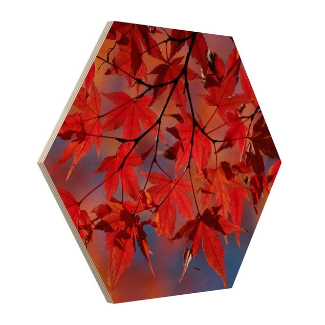 Holzbilder Red Maple