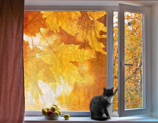 Fensterbilder Natur Autumn