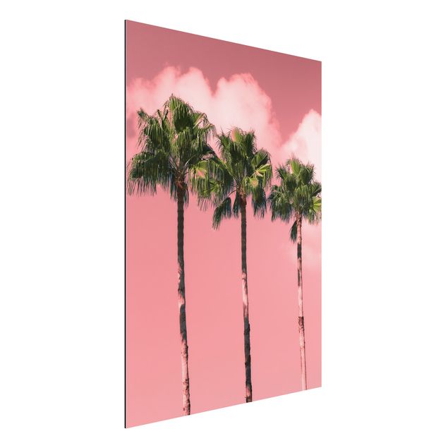 Wandbilder Palmen vor Himmel Rosa