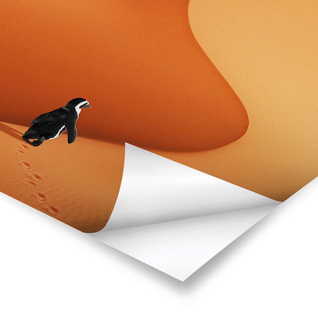 Poster Wüste mit Pinguin